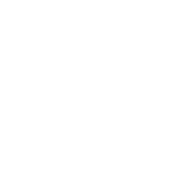 Icon Images